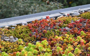 the cost of Onthank green roof installation
